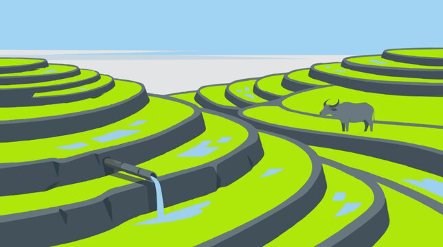 Serene Terraced Landscape with Water Buffalo