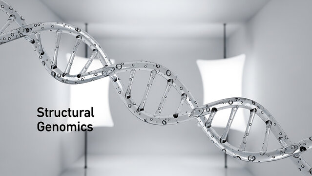 DNA double helix model with water droplets on surface in studio with softbox lights  structural genomics concept