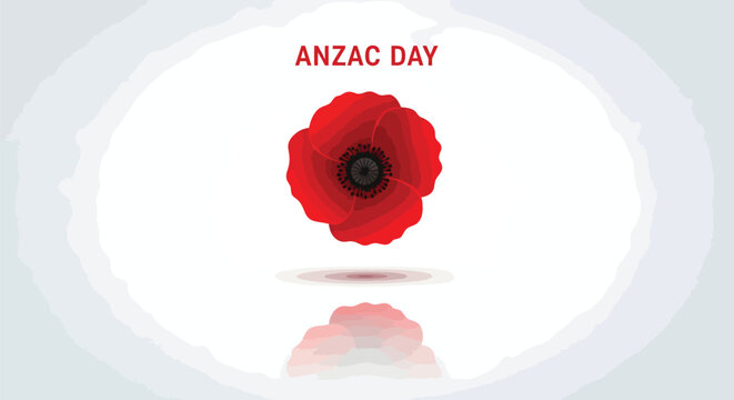 Anzac Day red poppy flower vector, memorial day remembrance symbol, lest we forget commemorative banner with red poppy and reflection