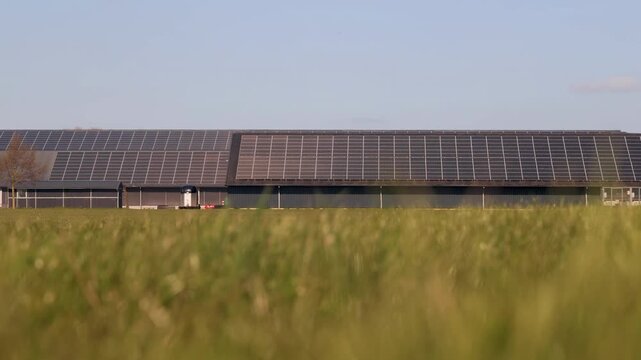 Large rows of solar panels on a farm barn in The Netherlands with waving grass in front