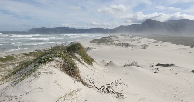 sand dunes, Walker Bay Nature Reserve, Stanford, South Africa