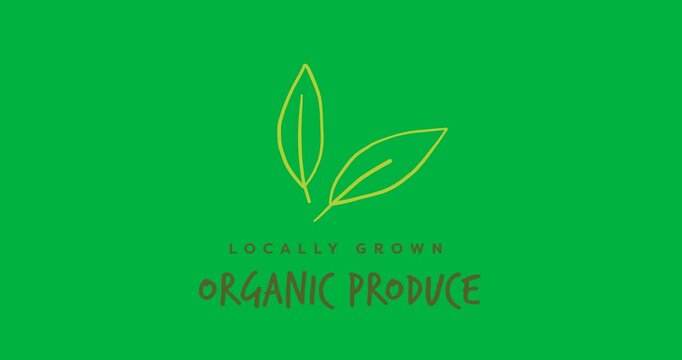 Digital animation of locally grown organic produce with leaves icon against black background