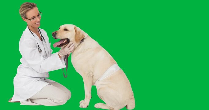Caucasian female veterinarian smiling while touching a dog against black background