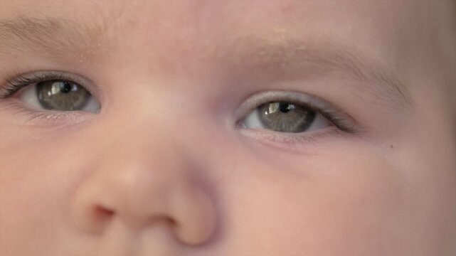 Gros plan regard de b&eacute;b&eacute; joufflu
