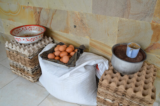 A quarter-right elevated perspective showing fresh eggs in a container placed over industrial bags of poultry nutrition, surrounded by plastic egg trays and garden tools.