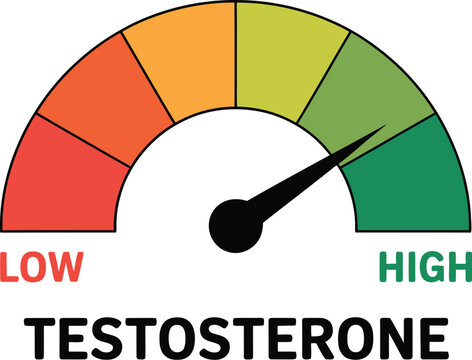Low testosterone vector cartoon illustration showing male hormone deficiency concept with tired character design