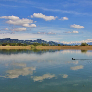 Quiet spring day at Lake Pfaeffikon, Switzerland.