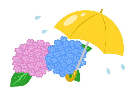アジサイと黄色い傘のイラスト 梅雨の風景