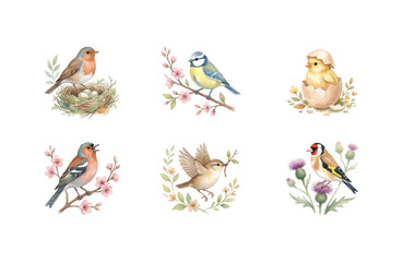 Watercolor Spring Birds Icon Set with Robin Blue Tit Chick Nest and Blossoms © Dwi