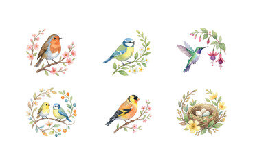 Watercolor Spring Bird Icon Set with Robins Blue Tits Goldfinch and Nest © Dwi
