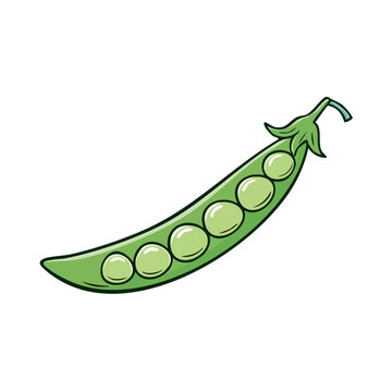 A single green pea pod with visible round peas inside in a stylized cartoon illustration