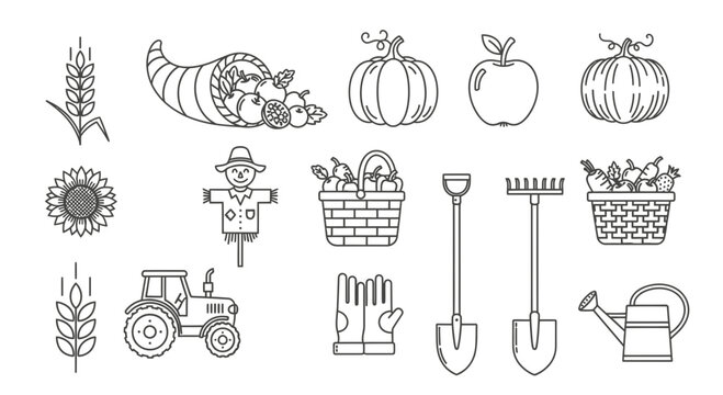 set of vegetables and fruits