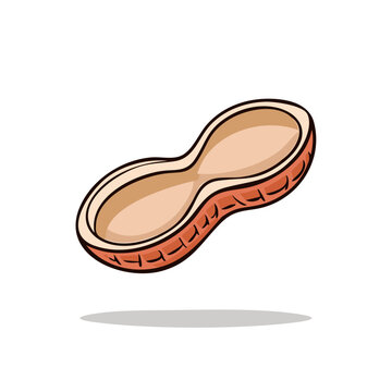 Empty Peanut Shell Isolated Hand Drawn Vector Illustration