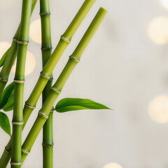 Fototapeta premium Close-up of green bamboo stalks with leaves and blurred lights in background