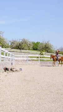 Horse riding inside the arena in slow motion