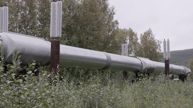 a close up pan of a section of the trans alaska pipeline with heat pipes near fairbanks, alaska of the usa