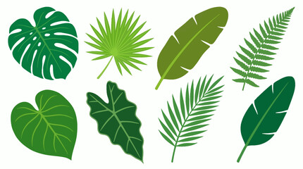 Collection of various green tropical leaves. © Abhinaya Project