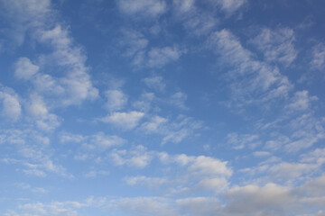 Obraz premium The sky is covered with fluffy clouds