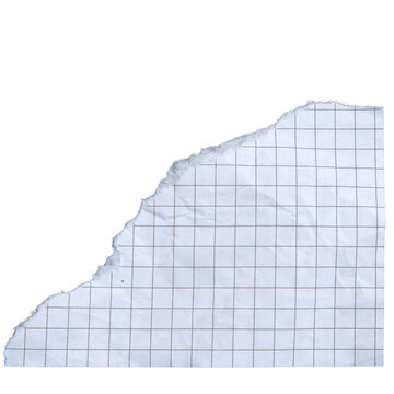 Torn Edge of Graph Paper - White Background