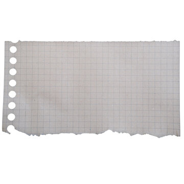 Torn Grid Paper: Isolated Note with Holes and Ripped Edge