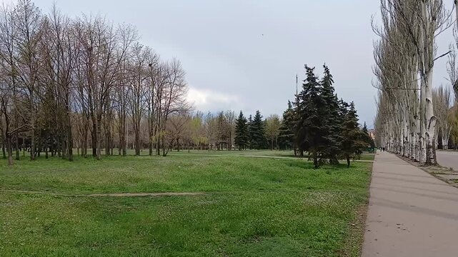 Stock video of a park, trees are growing, grass is turning green, a bird is flying somewhere far away and people are walking, spring