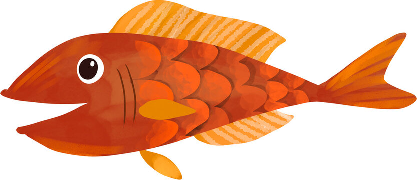 Crimson Tropical Fish Digital Watercolor PNG