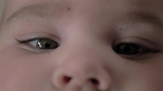 Gros plan regard de b&eacute;b&eacute; joufflu