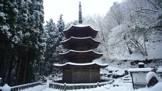新雪の国宝八角三重塔