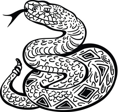 Vector black illustration of rattlesnake for tattoo outline or coloring book