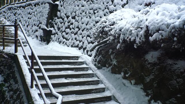 新雪の国宝八角三重塔と石段