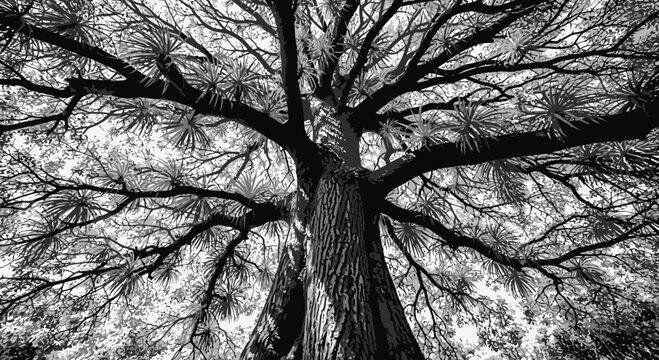 dead tree in black