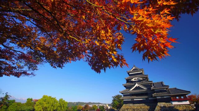 水鏡の松本城と紅葉のモミジと常念岳遠望