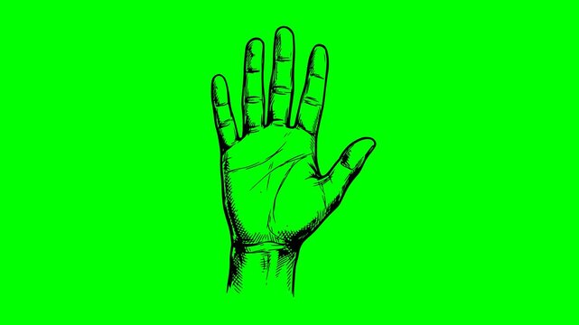 hand drawn waving hand animation with black fill and no white ink on green screen chroma key background high quality sketch style illustration for greeting or welcome concept