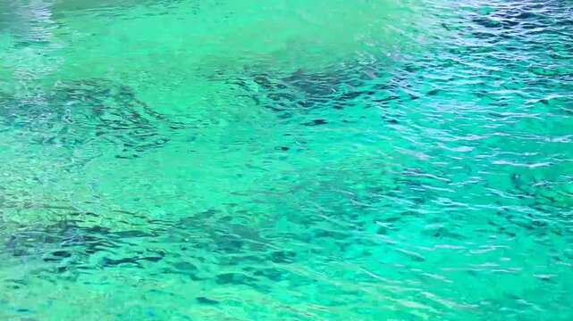 仁淀ブルーの清流