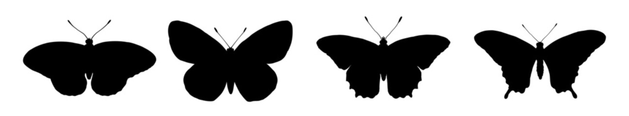 Butterfly silhouettes set, vector illustration © KR Studio