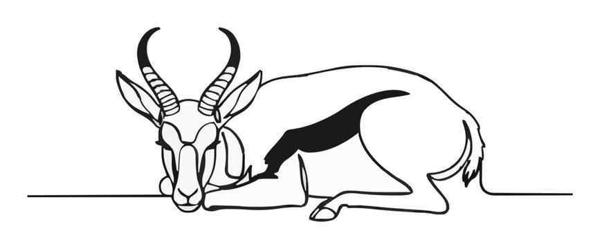 Minimalist Line Art Springbok 3/4 Perspective Icon. Generative AI