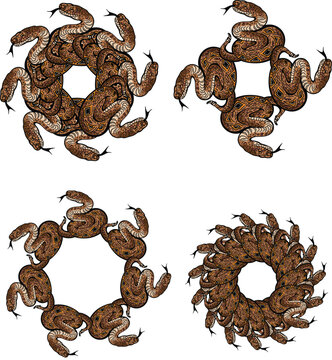 Vector snake mandala drawings for tattoos or Greek Medusa mythology designs