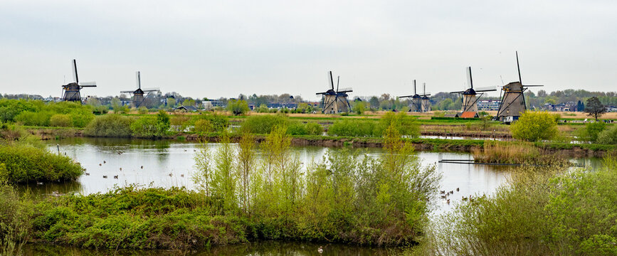 Traditional Dutch windmills behind a bird sanctuary, on a cloudy day with gloomy light at Kinderdijk, Netherlands