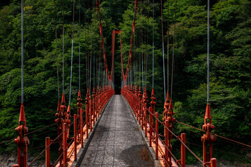 この先には何が © TEO