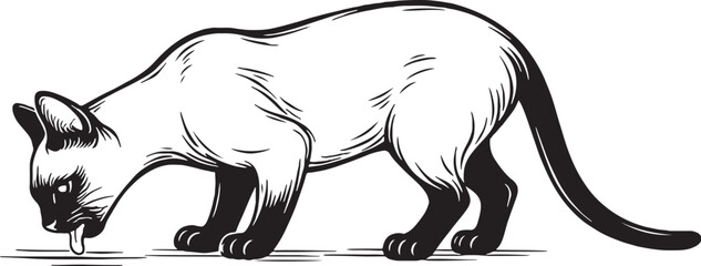 Siamese Cat Drinking Side View Black and White Line Art Illustration © chien