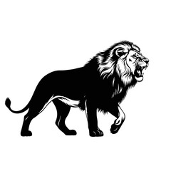 Obraz premium Powerful black and white roaring lion walking stylized illustration