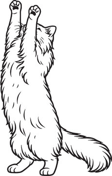 Ragamuffin cat reaching up line art, fluffy longhair cat standing on hind legs outline illustration isolated