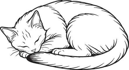 Chausie cat sleeping curled line art, athletic domestic cat curled sleeping pose outline illustration © chien
