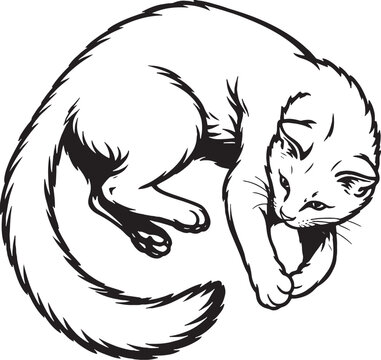 Chausie Cat Chasing Tail Line Art Black and White Vector Illustration