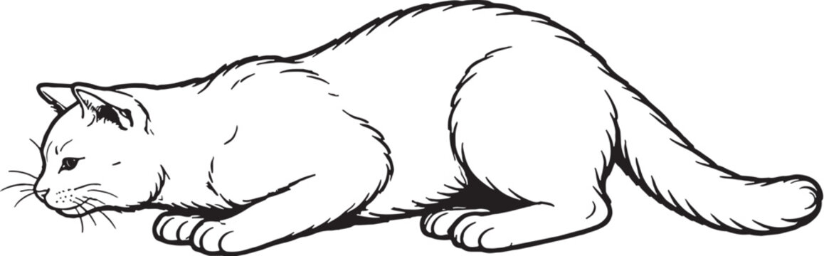 Chartreux cat pouncing crouch line art black and white vector isolated hunting cat illustration