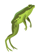 Fototapeta premium Frog jumping animation icon. Sequences or footage for motion design. Cartoon toad jumping, animal movement concept. Frog leap sequence, vector illustration