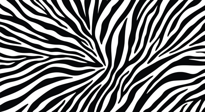 black and white zebra stripe pattern, abstract zebra print texture, monochrome background