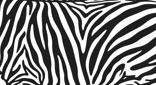 zebra stripes pattern black white abstract texture background
