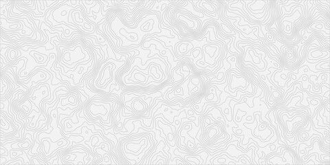 Obraz premium clean and modern white topographic map background with smooth contour lines pattern.
