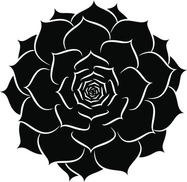 Bold Black Succulent Rosette Silhouette with Spiral Petal Pattern, Detailed Echeveria Botanical Plant Isolated on White